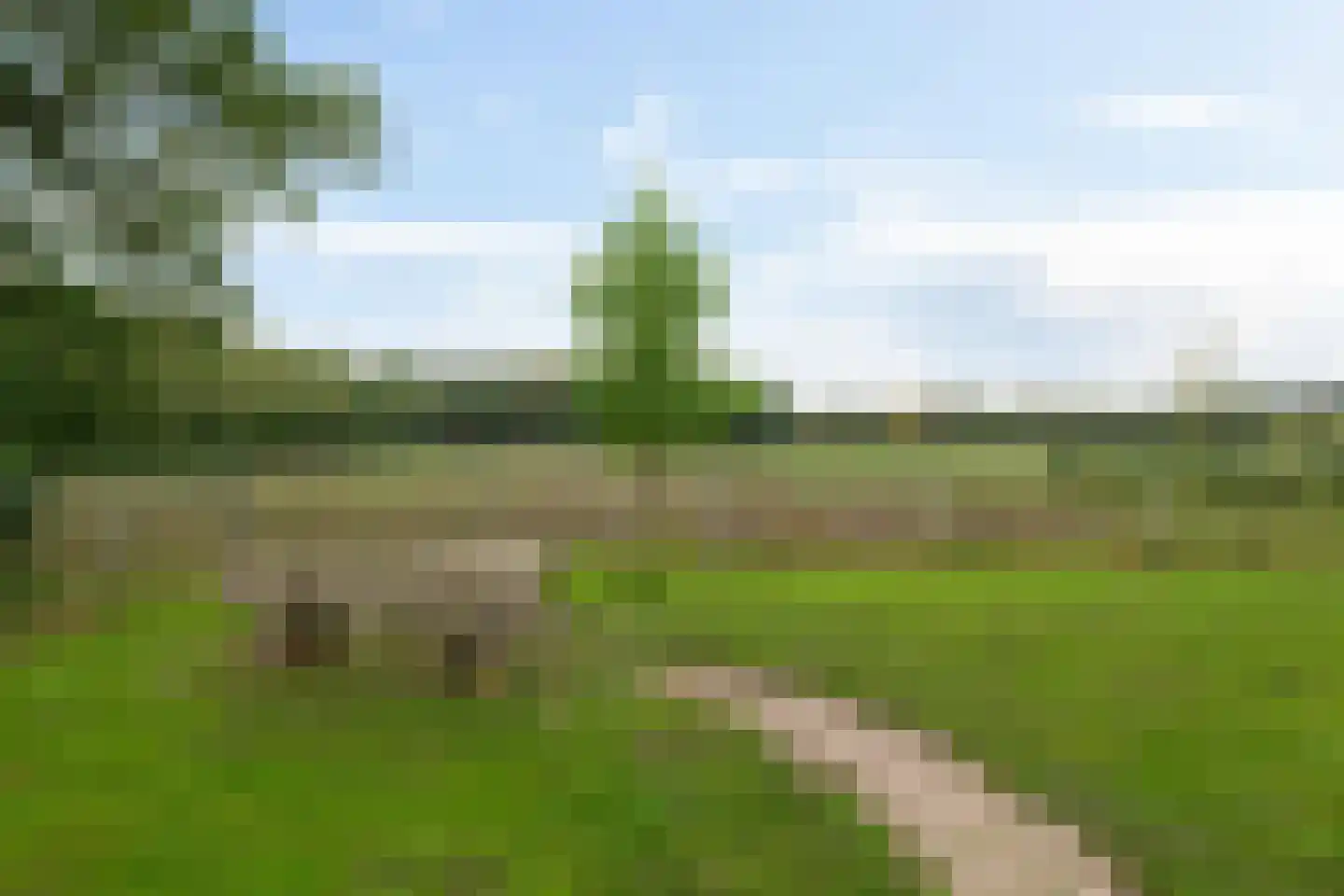 Randweg 16 Schipborg thumbnail 53