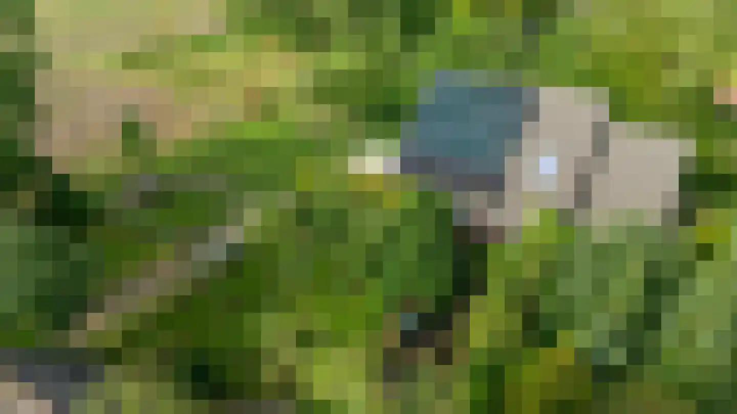 Randweg 16 Schipborg thumbnail 6