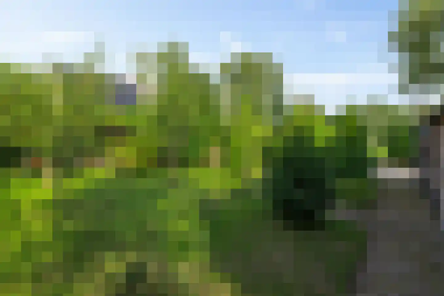 Randweg 16 Schipborg thumbnail 61