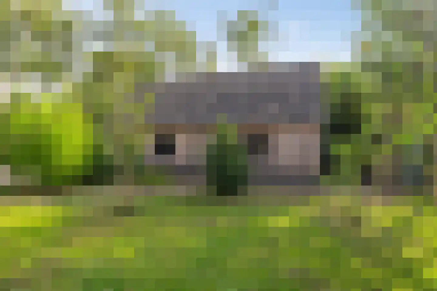 Randweg 16 Schipborg thumbnail 62