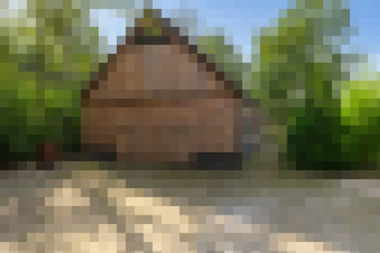 Randweg 16 Schipborg thumbnail 63