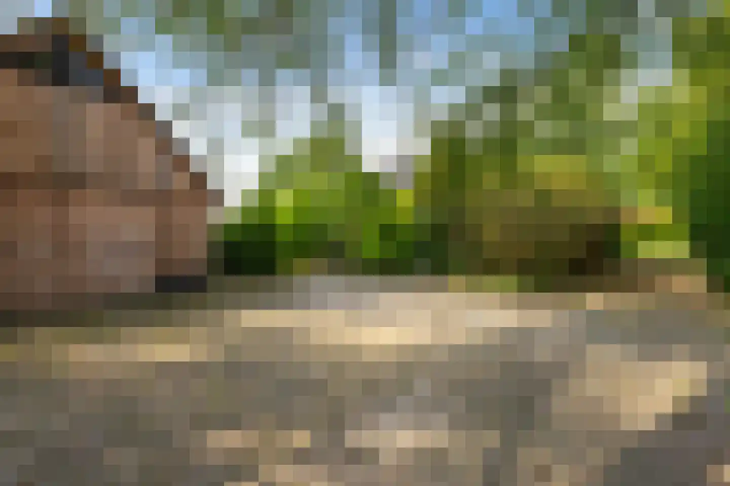 Randweg 16 Schipborg thumbnail 64