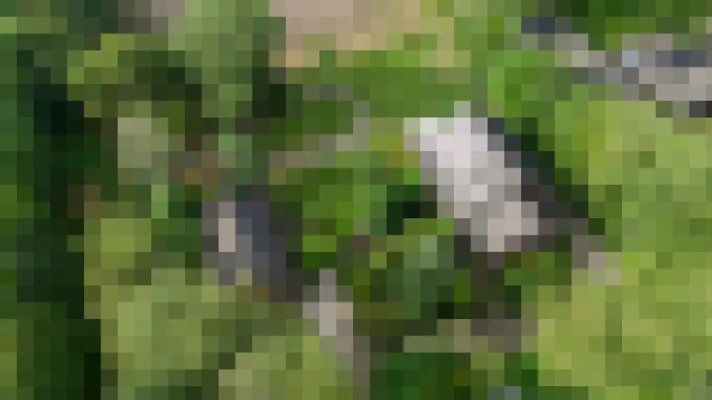 Randweg 16 Schipborg thumbnail 7