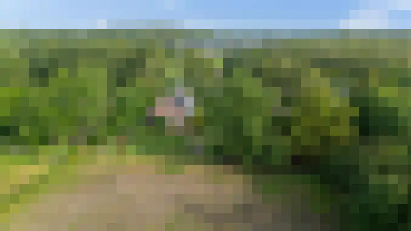 Randweg 16 Schipborg thumbnail 72