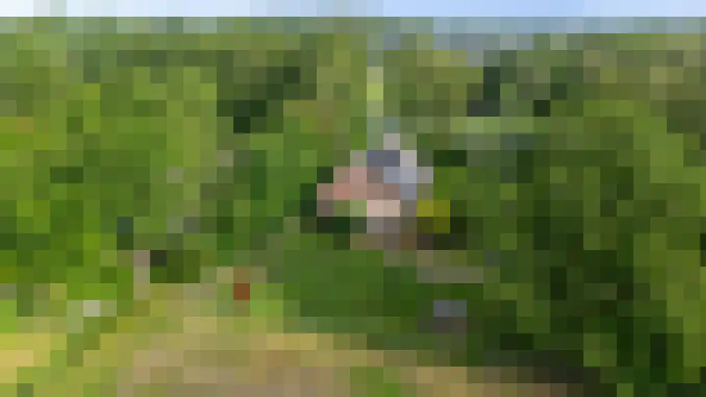 Randweg 16 Schipborg thumbnail 73