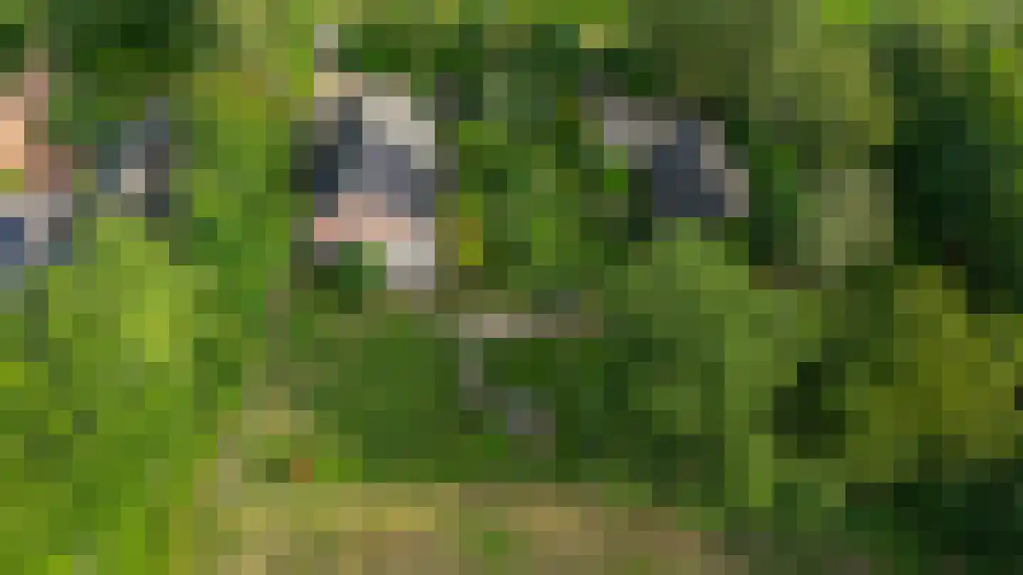 Randweg 16 Schipborg thumbnail 74
