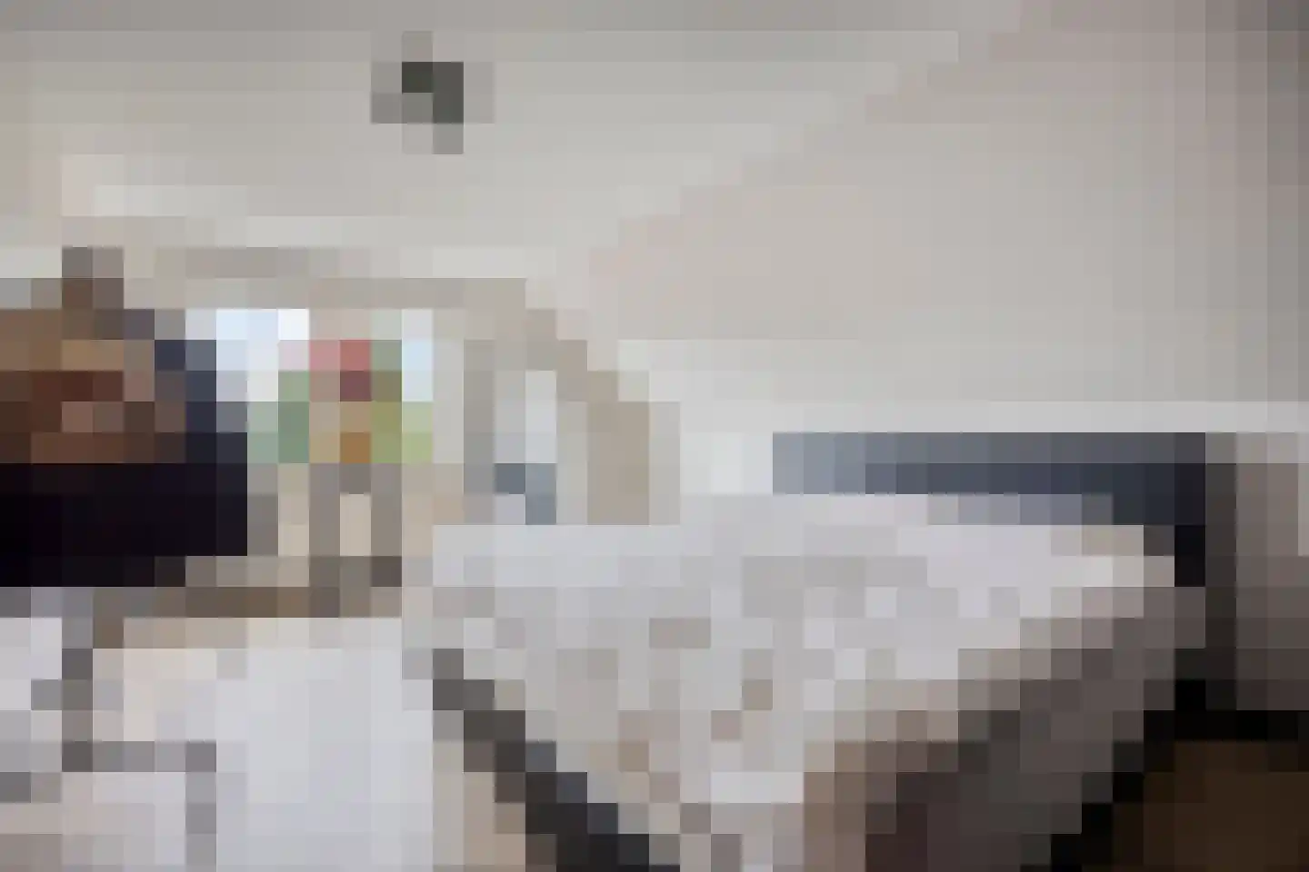Randweg 2 Lekkerkerk thumbnail 21