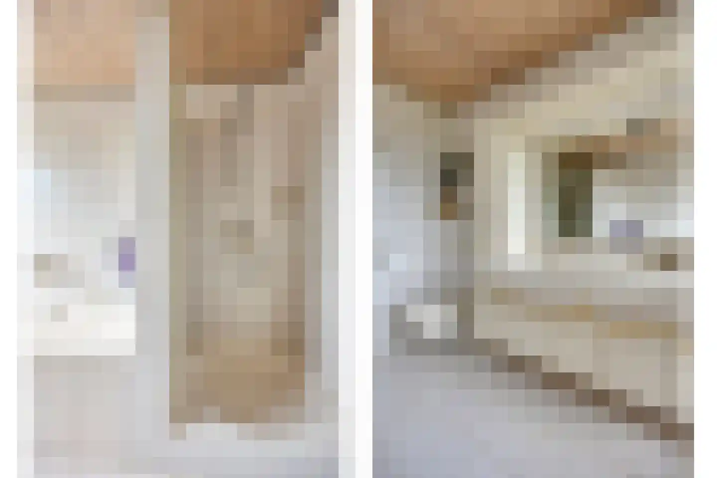 Randweg 2 Lekkerkerk thumbnail 27