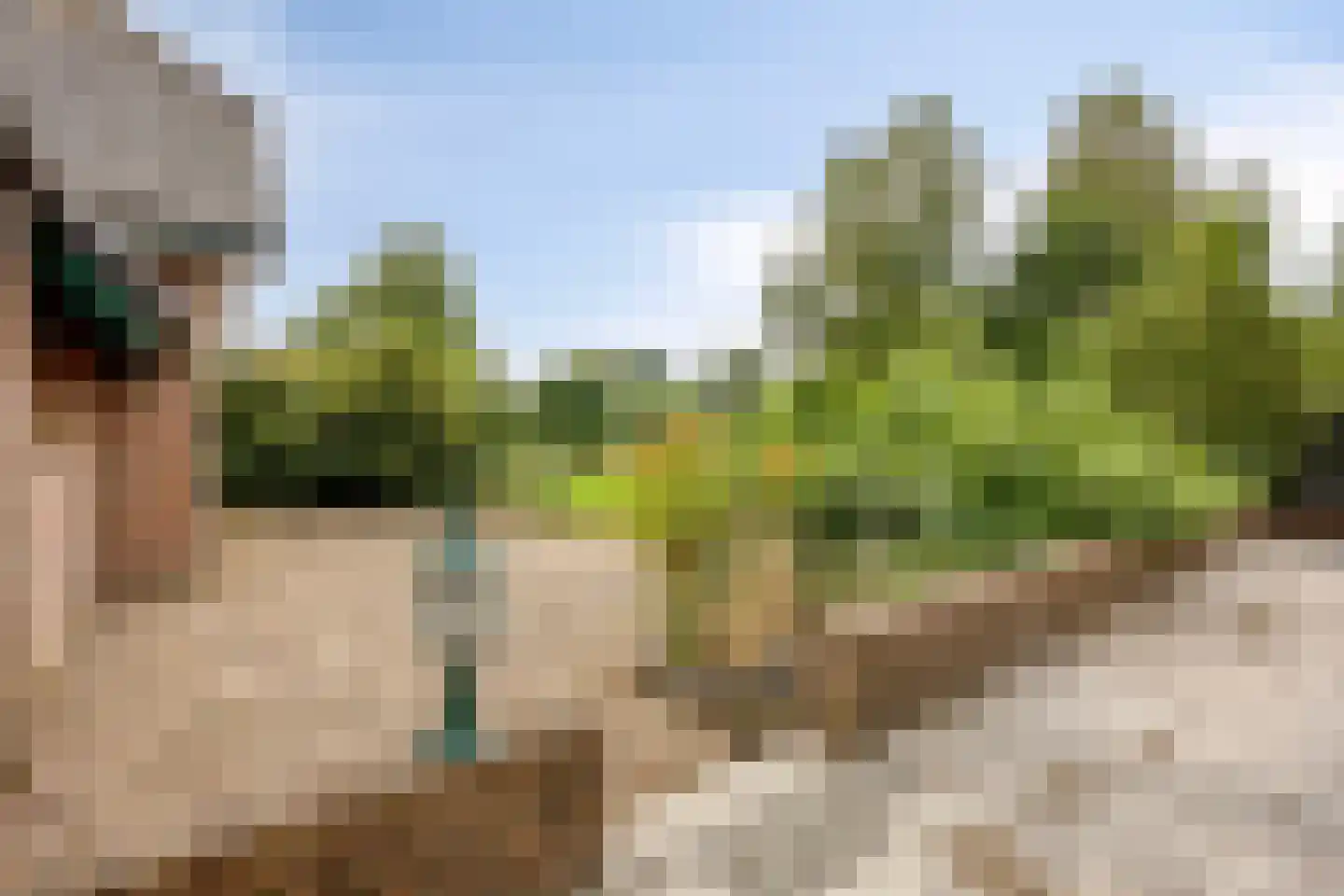 Randweg 2 Lekkerkerk thumbnail 34