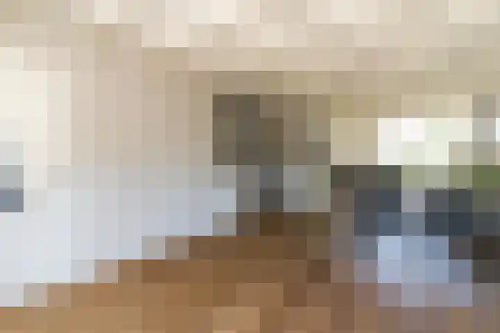 Randweg 2 Nunspeet thumbnail 14
