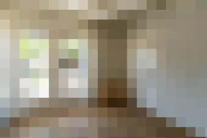 Randweg 2 Nunspeet thumbnail 15