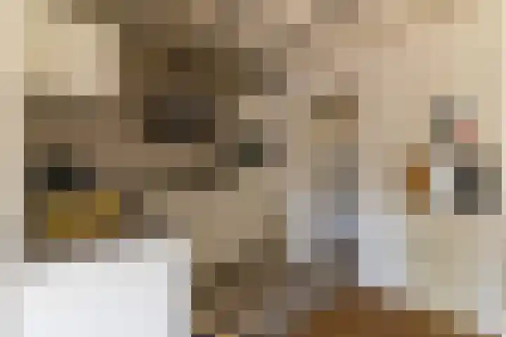 Randweg 2 Nunspeet thumbnail 16