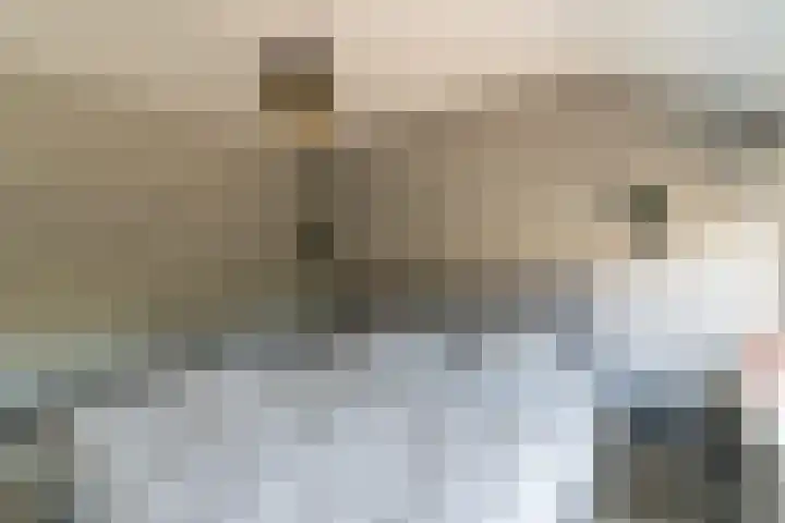 Randweg 2 Nunspeet thumbnail 21