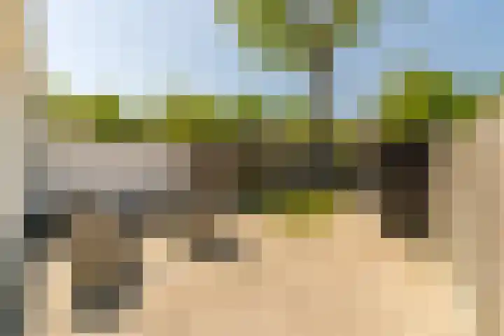 Randweg 2 Nunspeet thumbnail 30