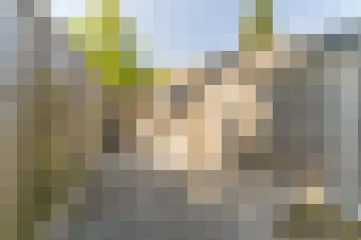 Randweg 2 Nunspeet thumbnail 33