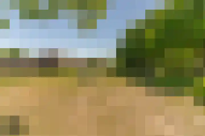 Randweg 2 Nunspeet thumbnail 36
