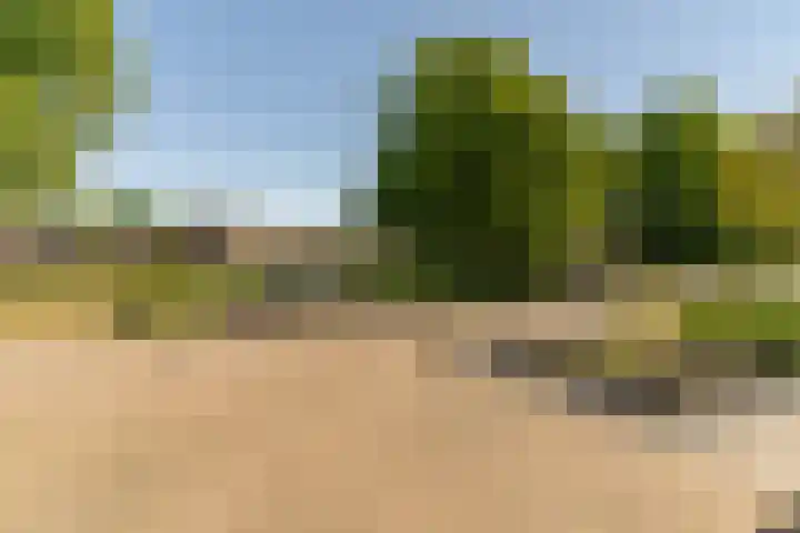 Randweg 2 Nunspeet thumbnail 6