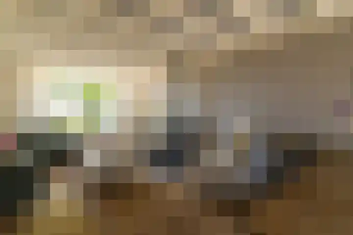 Randweg 2 Nunspeet thumbnail 8