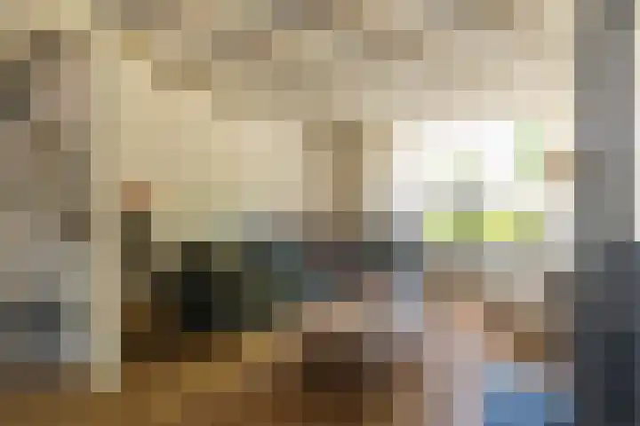 Randweg 2 Nunspeet thumbnail 9