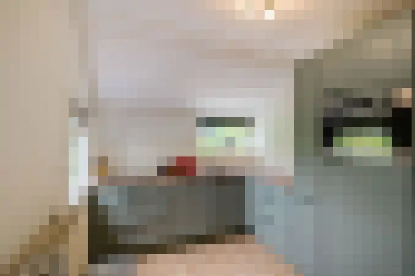 Randweg 2 Schipborg thumbnail 20