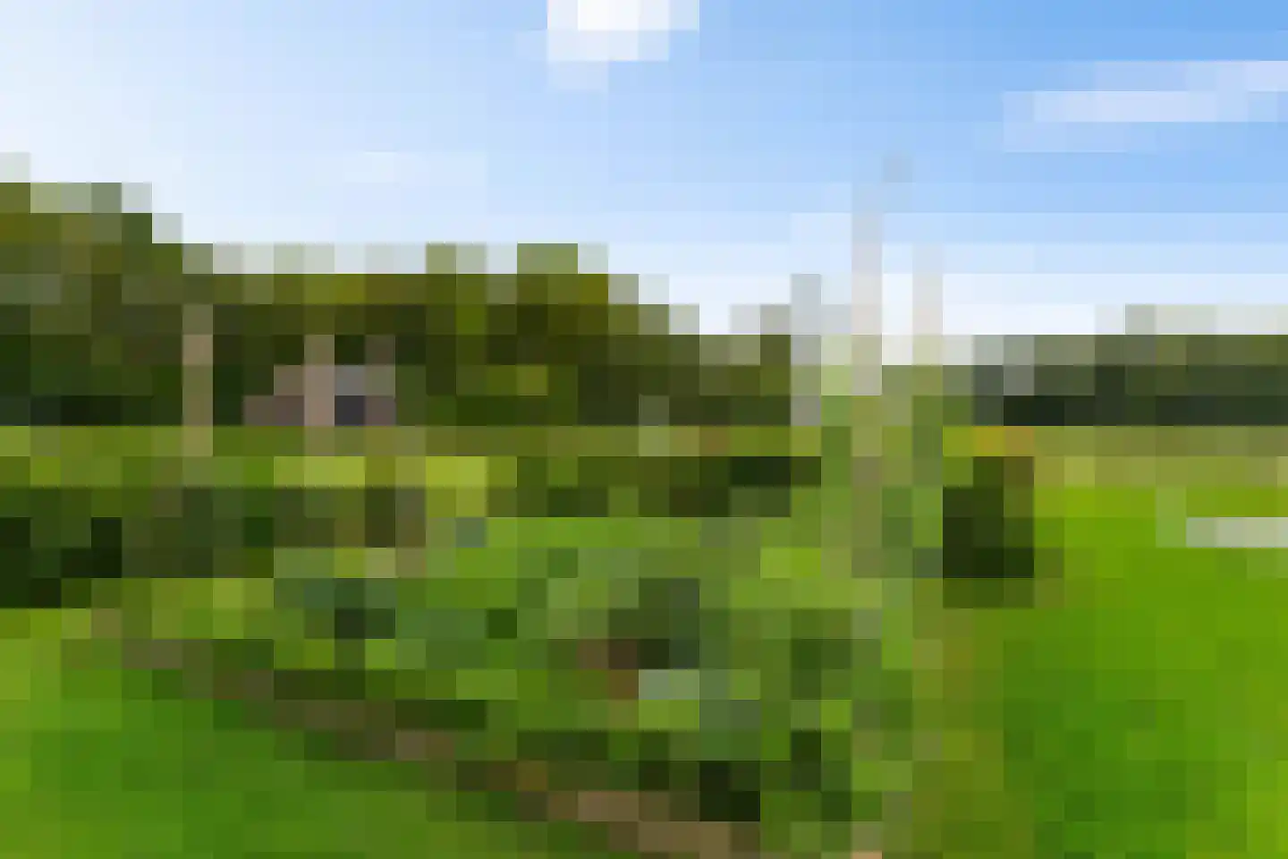 Randweg 2 Schipborg thumbnail 30