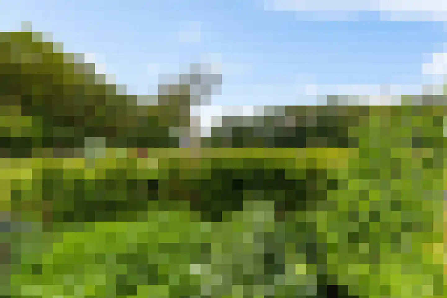 Randweg 2 Schipborg thumbnail 31