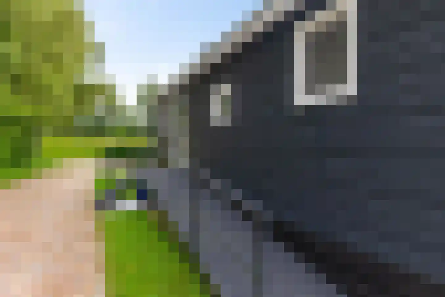Randweg 2 Schipborg thumbnail 49