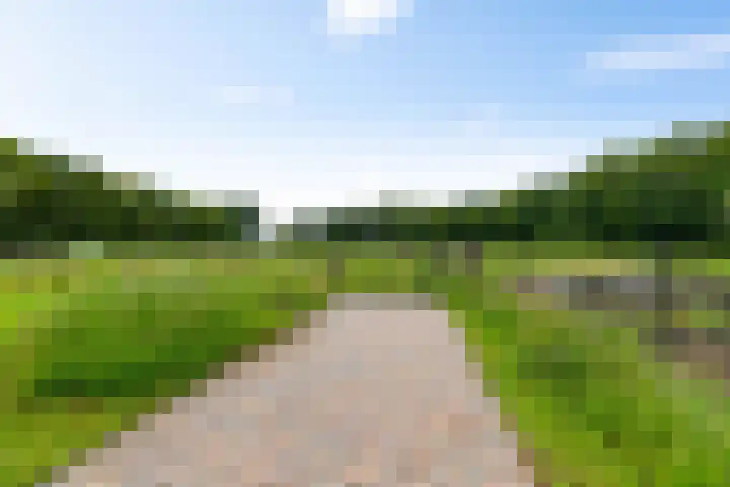 Randweg 2 Schipborg thumbnail 64