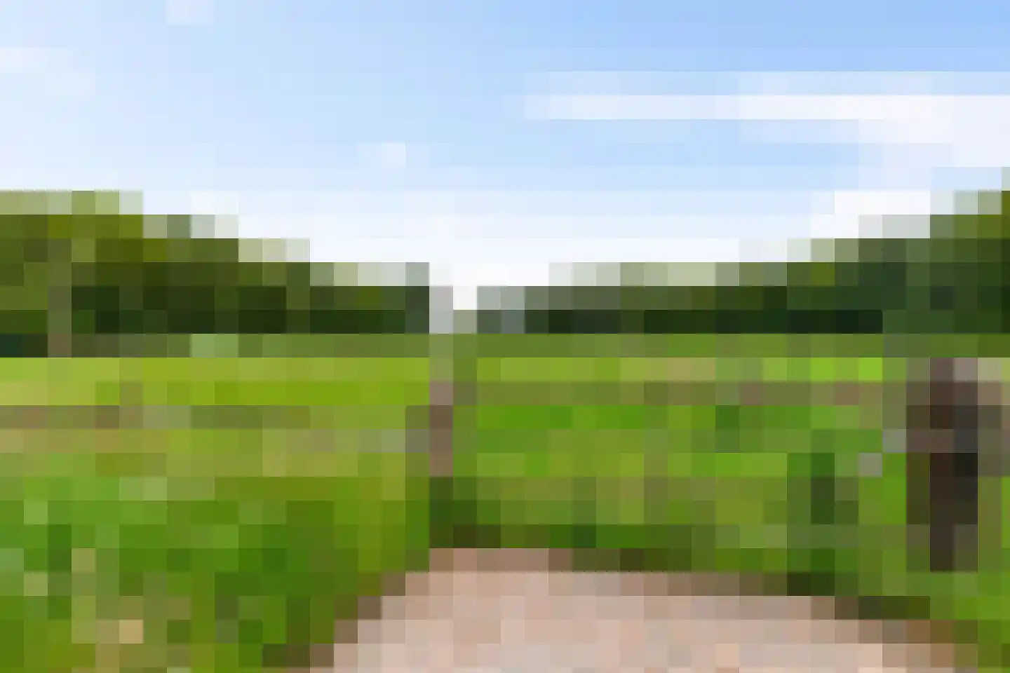 Randweg 2 Schipborg thumbnail 65