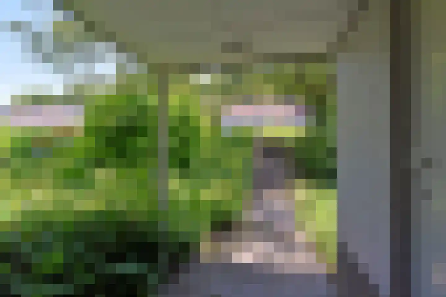 Randweg 21 154 Vaals thumbnail 23
