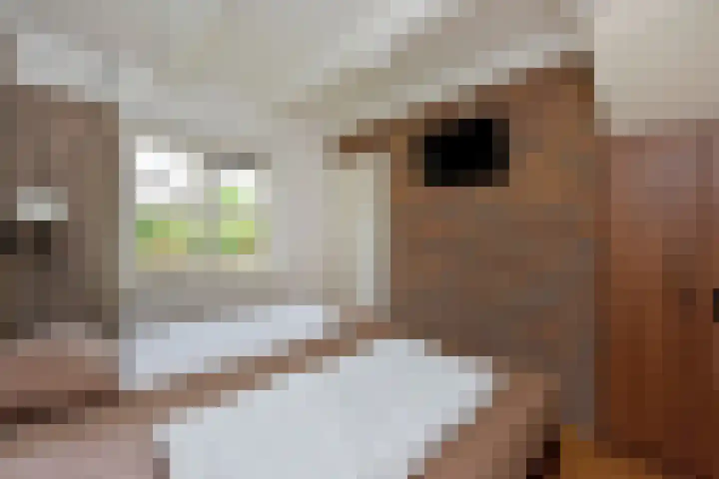 Randweg 21 220 Vaals thumbnail 13