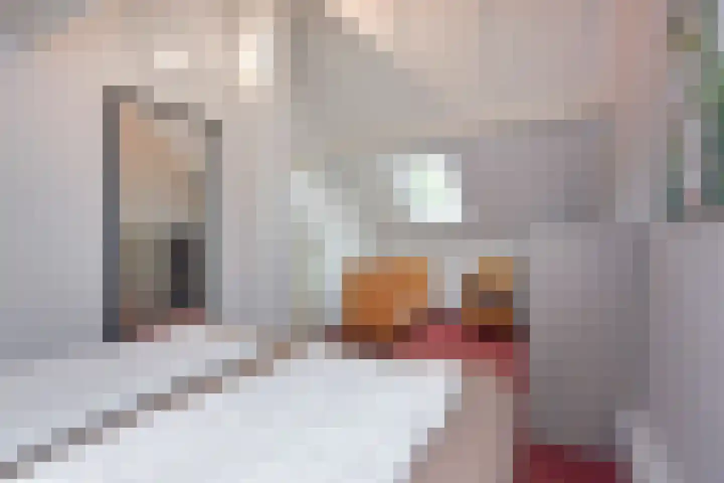 Randweg 21 220 Vaals thumbnail 19
