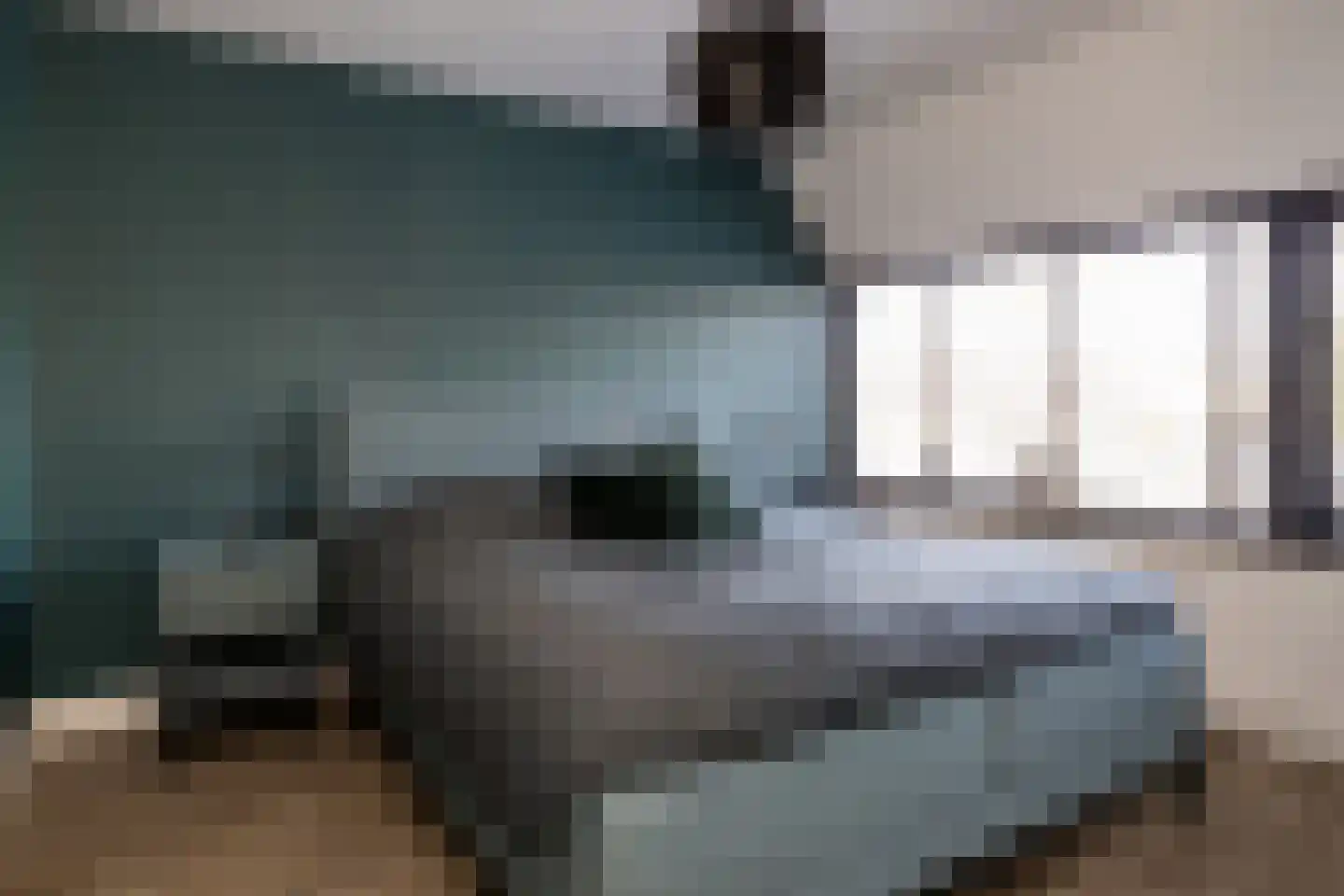 Randweg 22 Nunspeet thumbnail 29
