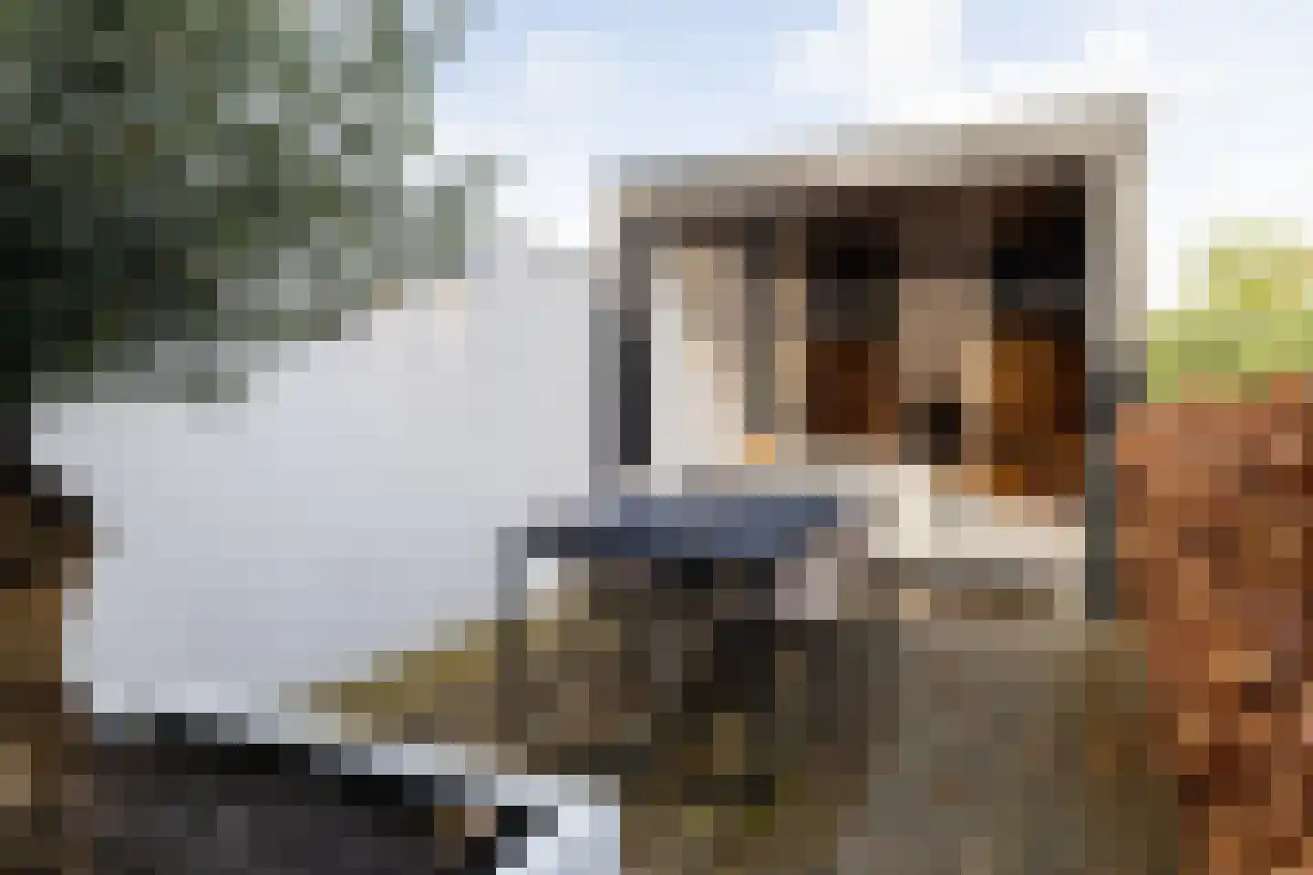 Randweg 22 Nunspeet thumbnail 7