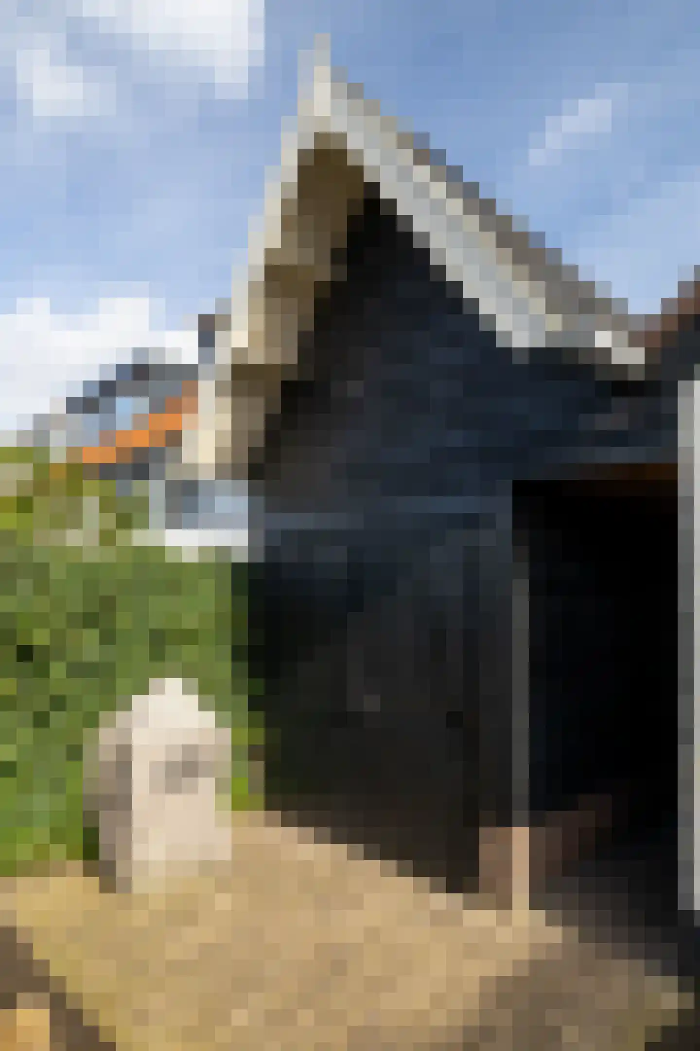 Randweg 22 Nunspeet thumbnail 8