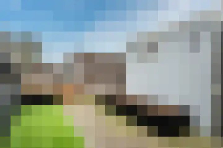 Randweg 30 Meppel thumbnail 28