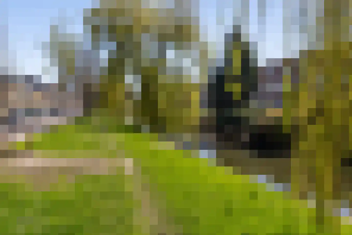 Randweg 34 C Rotterdam thumbnail 19