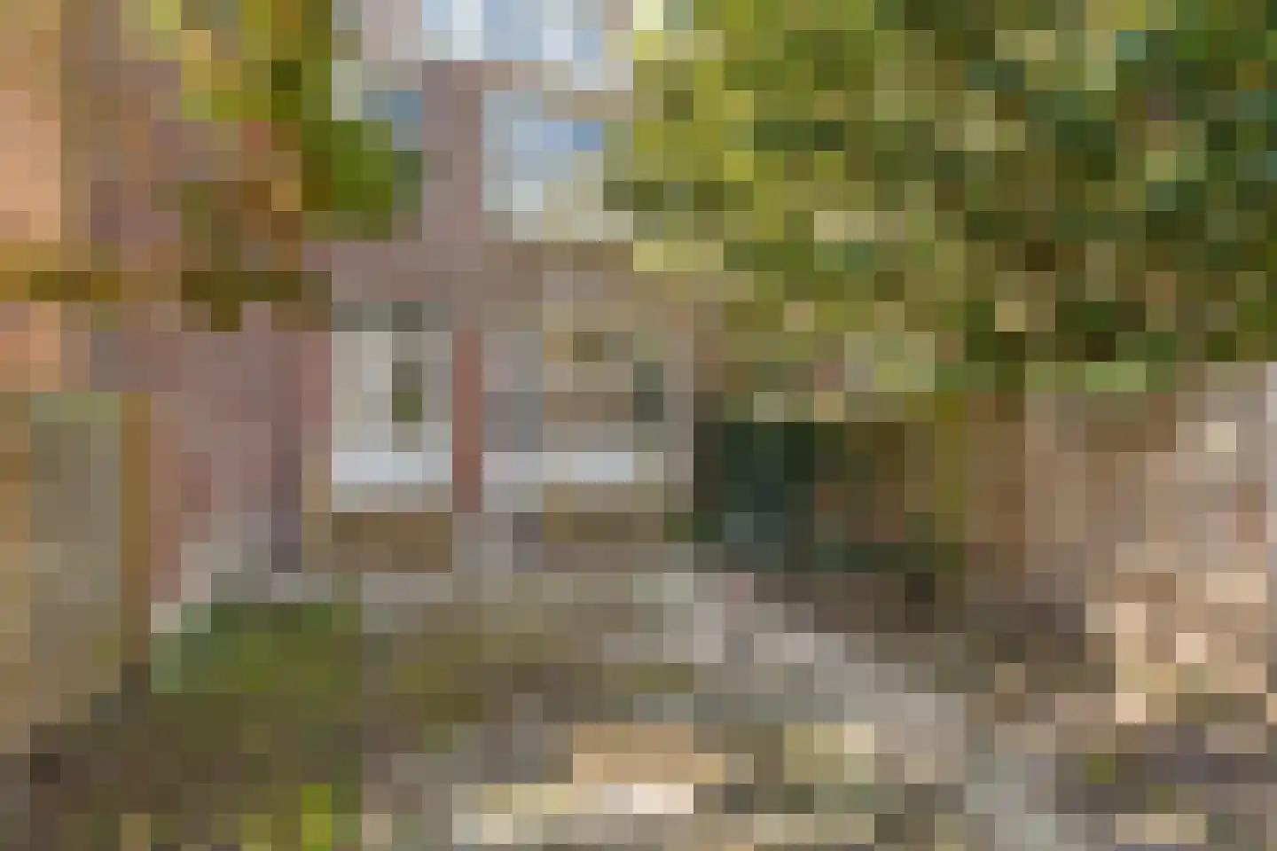 Randweg 34 C Rotterdam thumbnail 21