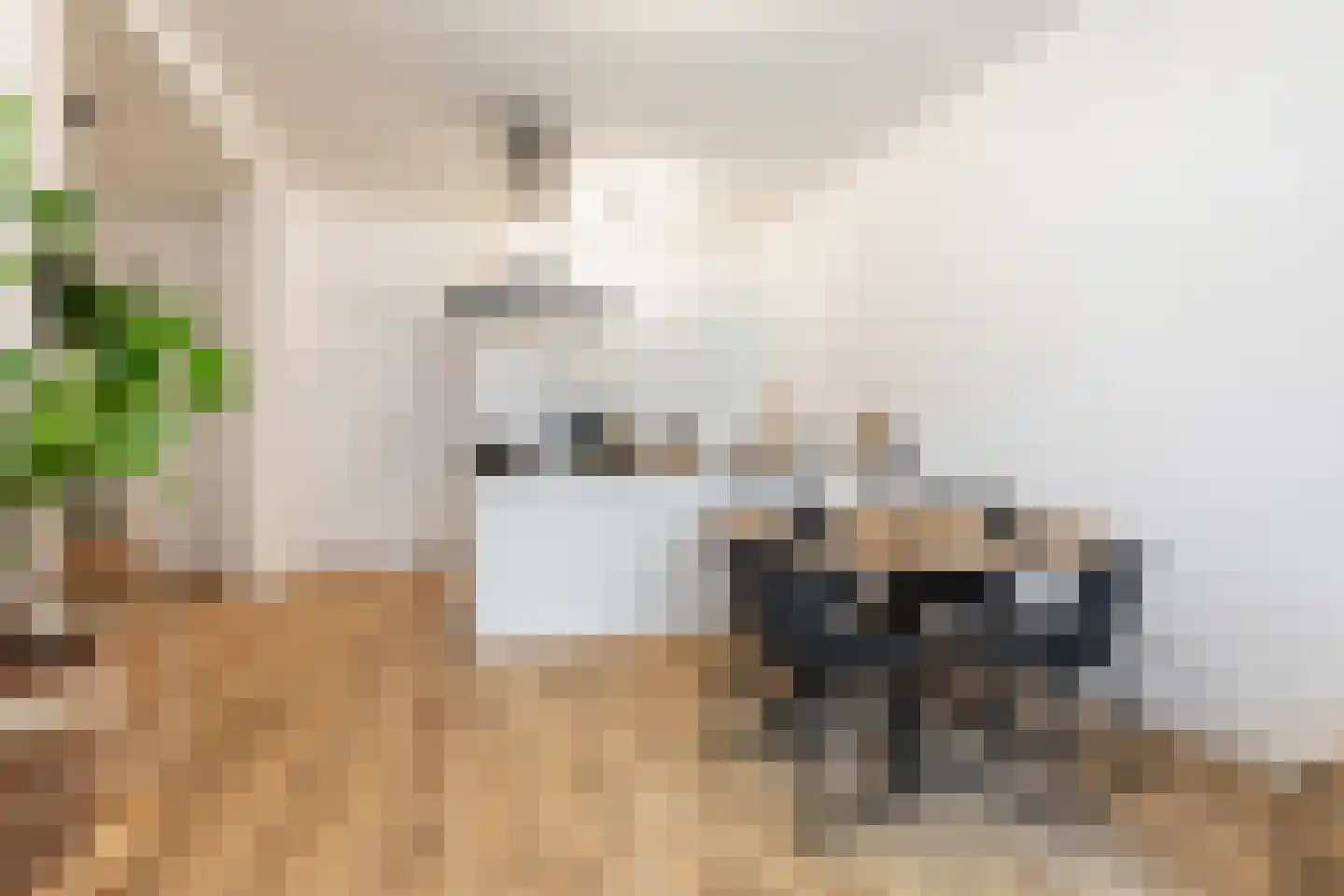 Randweg 34 C Rotterdam thumbnail 4