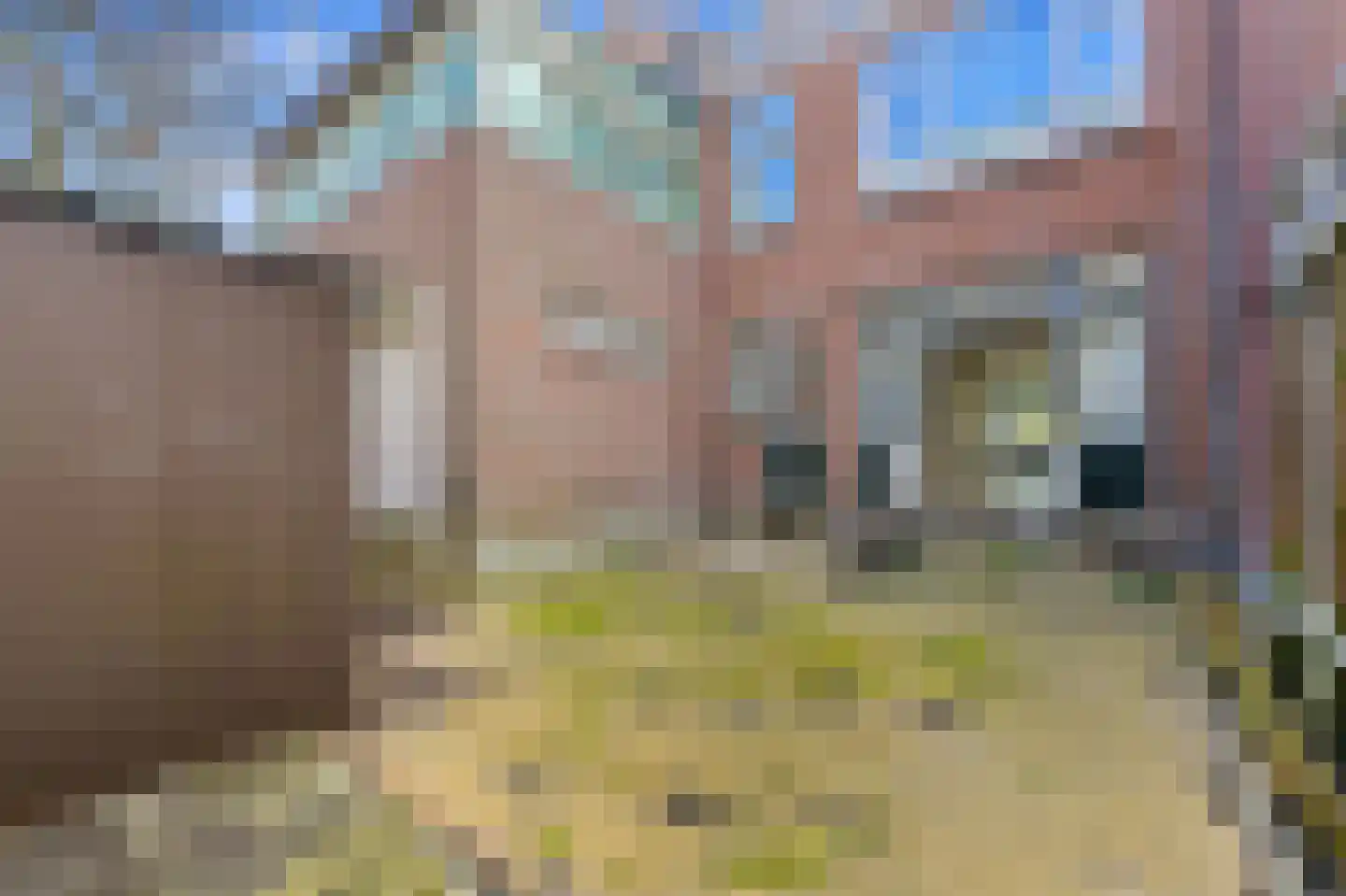 Randweg 38 B Rotterdam thumbnail 22