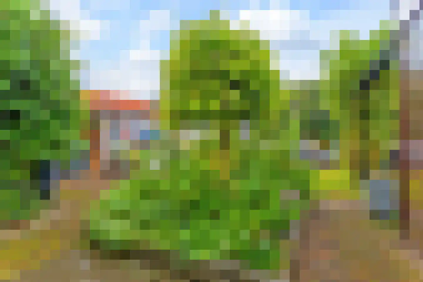 Randweg 42 Harderwijk thumbnail 34