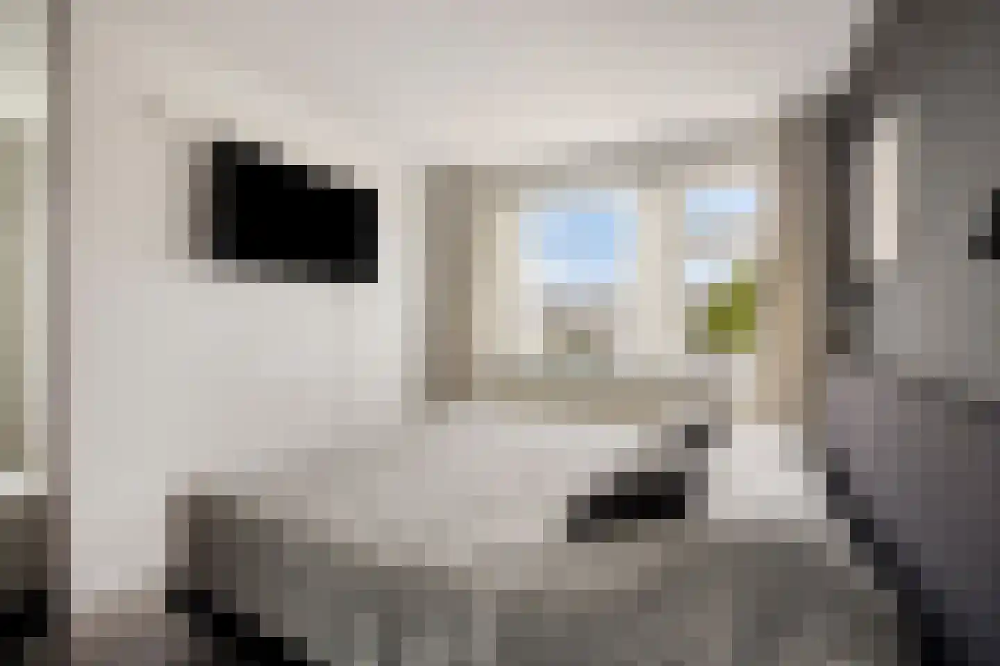 Randweg 42 Meppel thumbnail 26