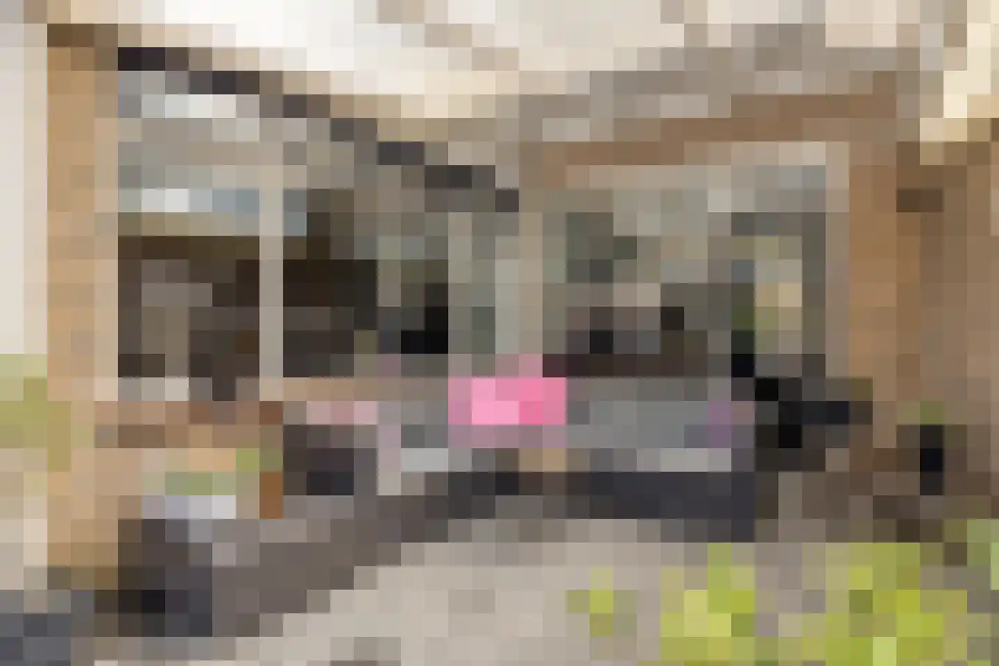 Randweg 42 Meppel thumbnail 33
