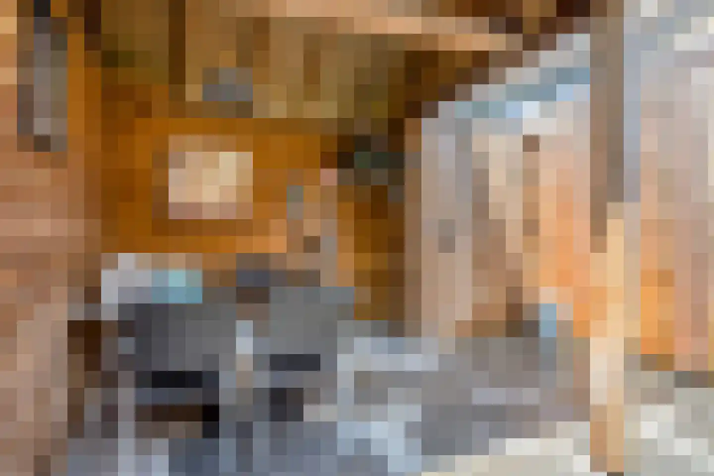 Randweg 42 Meppel thumbnail 37