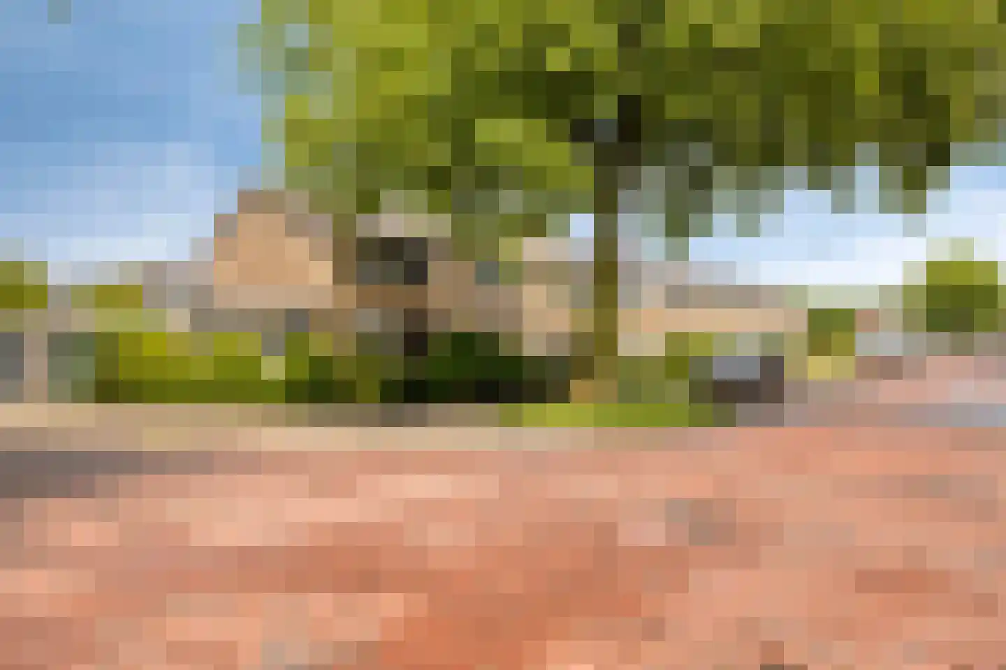 Randweg 42 Meppel thumbnail 5