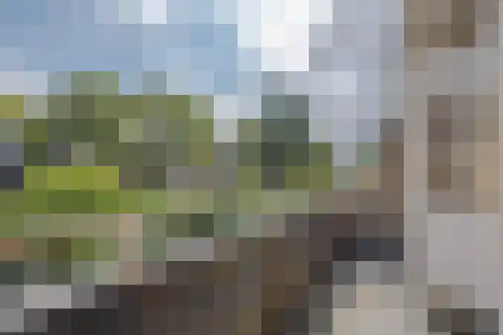 Randweg 50 Rotterdam thumbnail 31