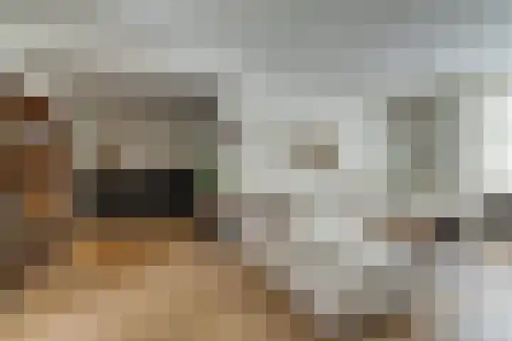 Randweg 6 Nunspeet thumbnail 17