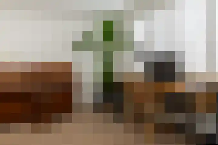 Randweg 6 Nunspeet thumbnail 20