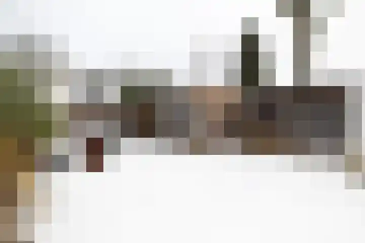 Randweg 6 Nunspeet thumbnail 8