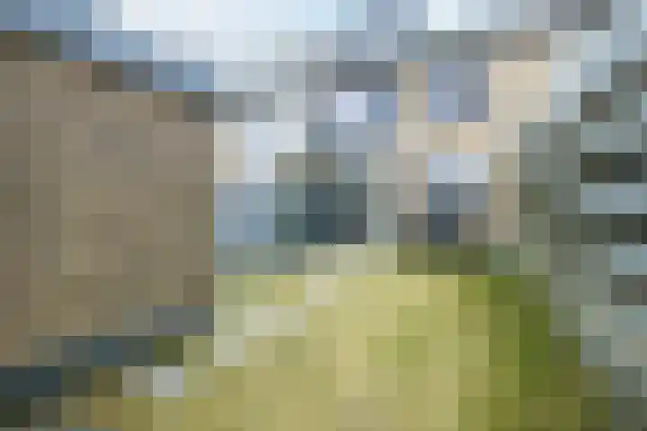 Randweg 68 Meppel thumbnail 31